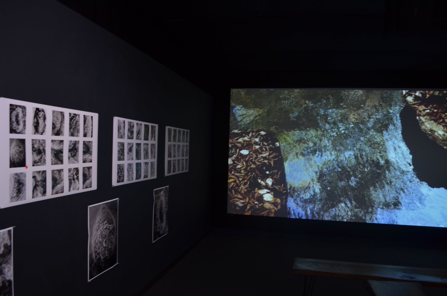 "Where I Live" examines the streams and woods of Marritz's property, with a slow-motion video loop and black-and-white photos of water and ice.